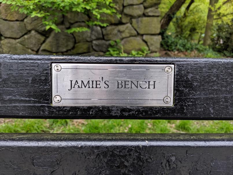 I saw this bench in Central Park