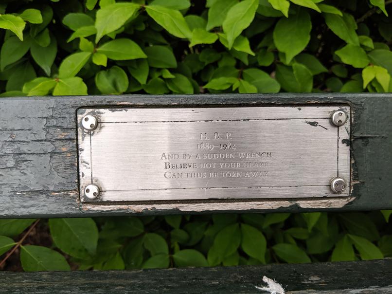 I saw this bench in Central Park