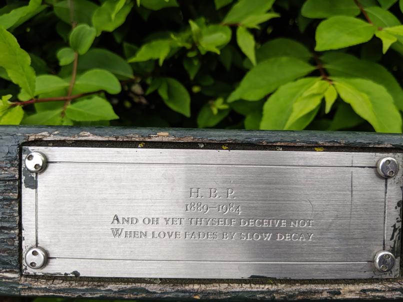 I saw this bench in Central Park