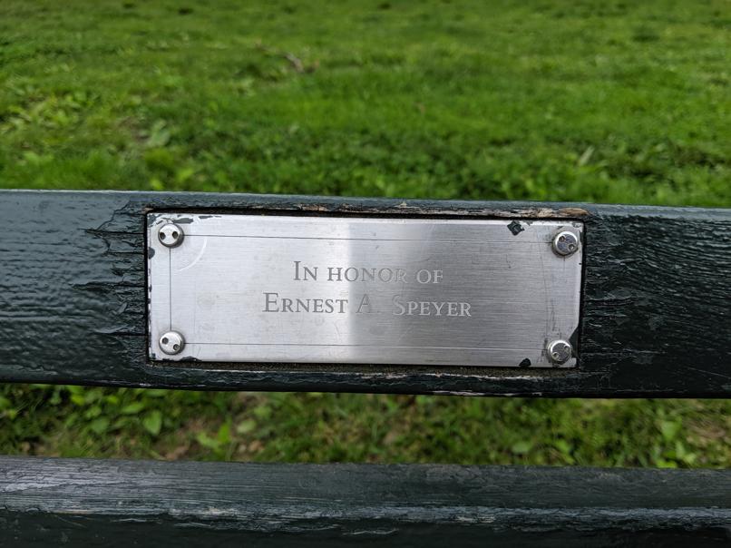 I saw this bench in Central Park