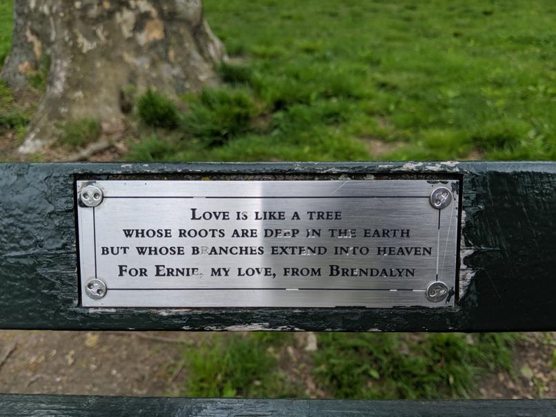 I saw this bench in Central Park