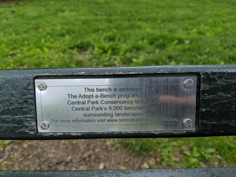 I saw this bench in Central Park