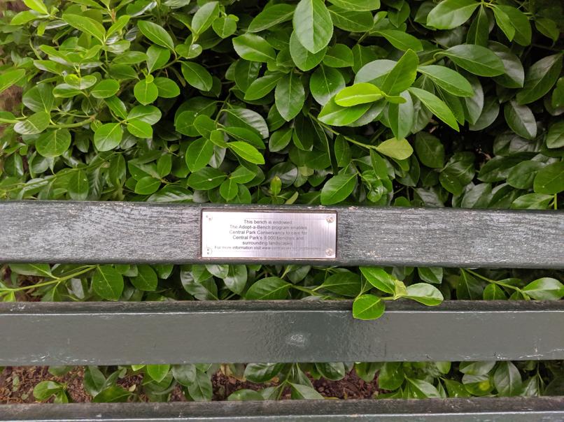 I saw this bench in Central Park