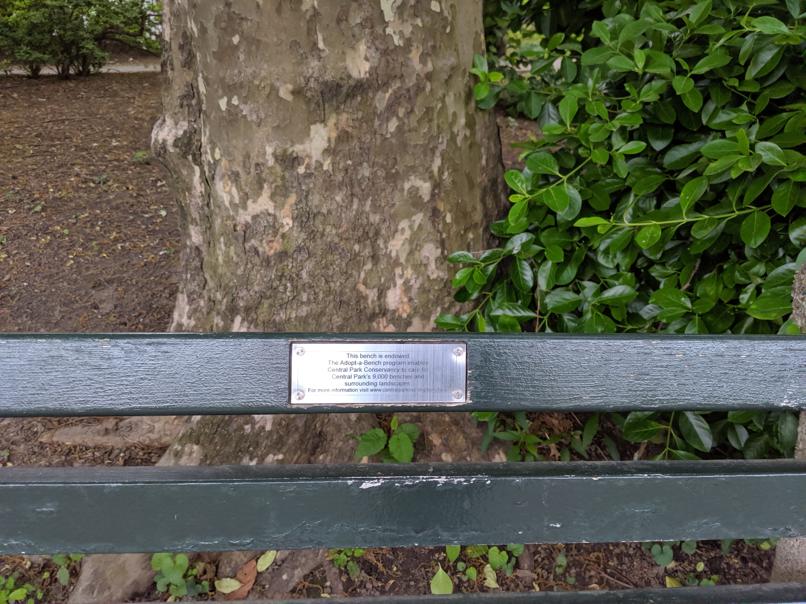 I saw this bench in Central Park