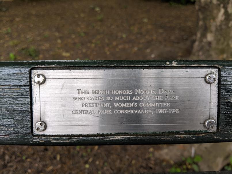 I saw this bench in Central Park