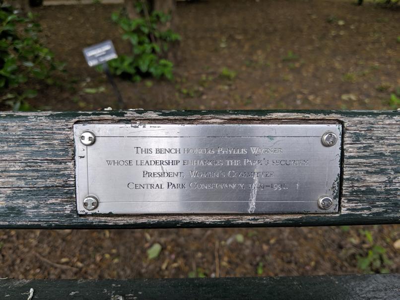 I saw this bench in Central Park