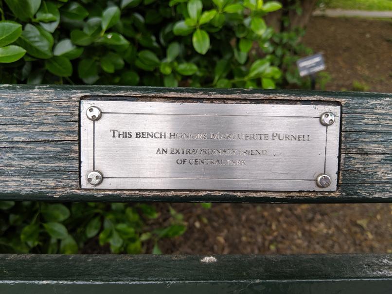 I saw this bench in Central Park