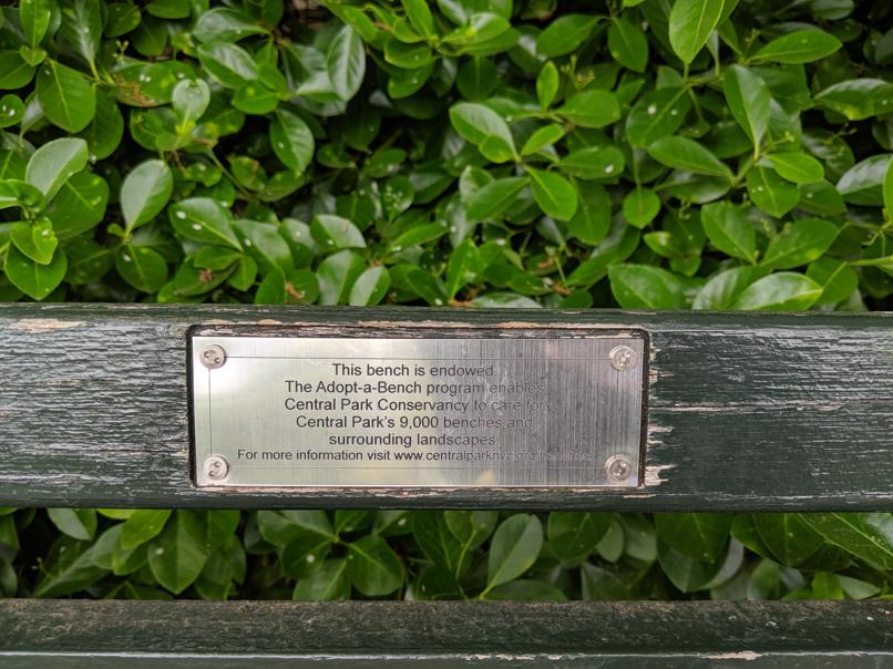 I saw this bench in Central Park