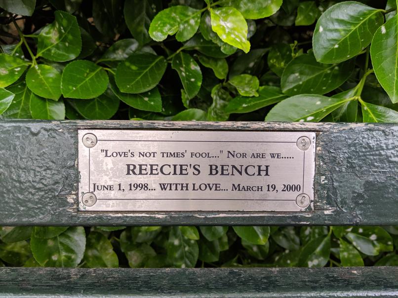 I saw this bench in Central Park