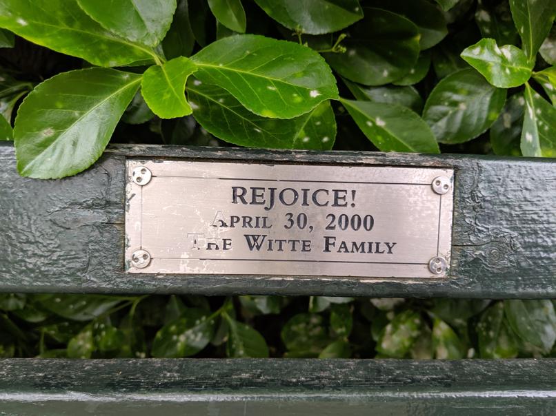 I saw this bench in Central Park