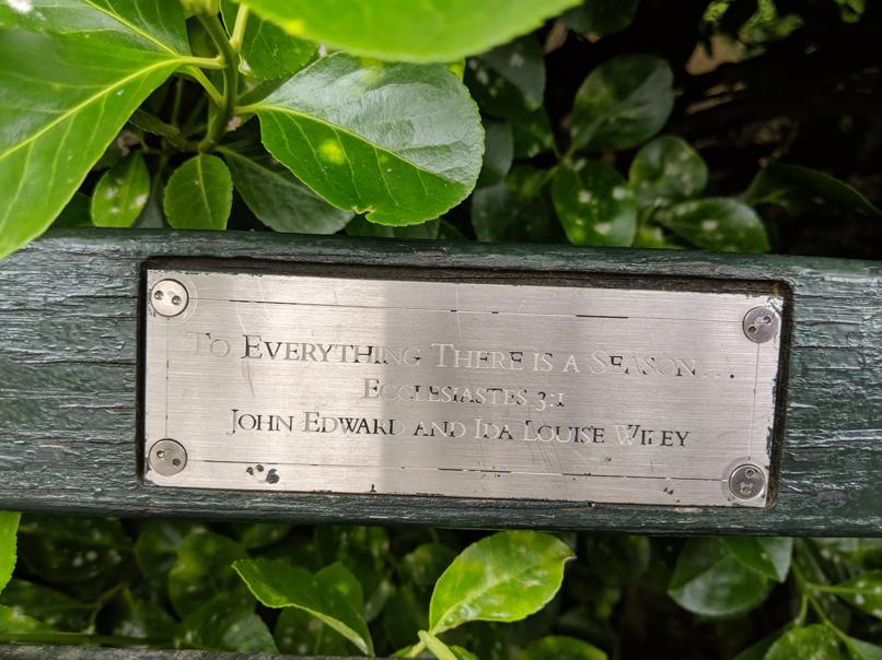 I saw this bench in Central Park