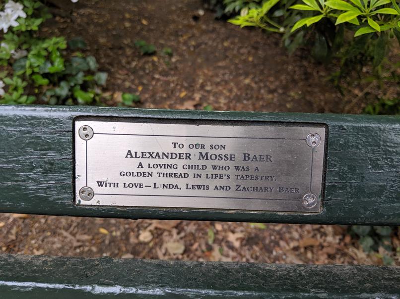 I saw this bench in Central Park