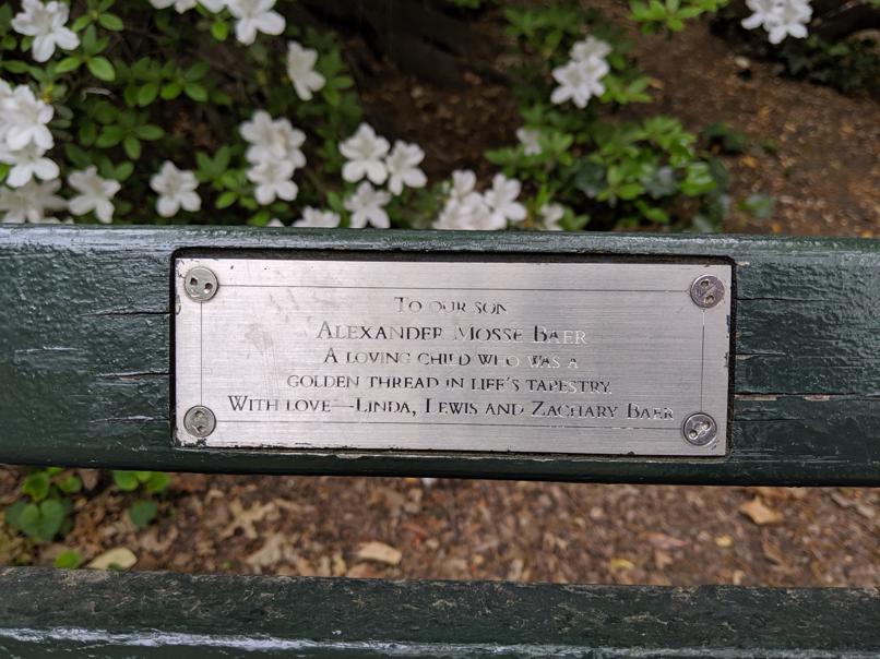 I saw this bench in Central Park