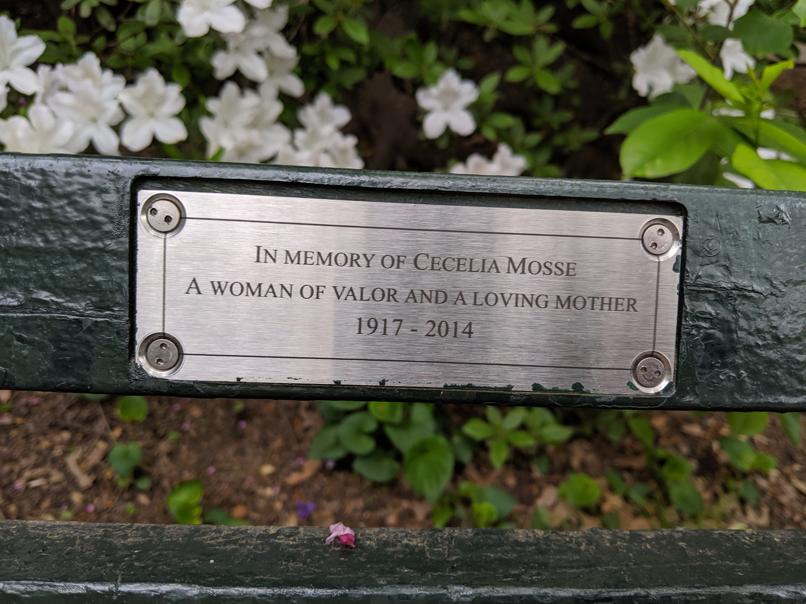 I saw this bench in Central Park