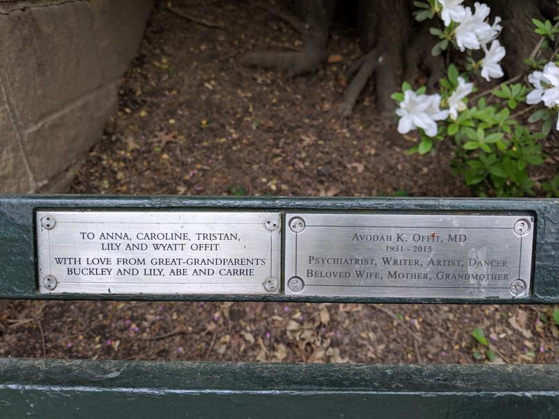 I saw this bench in Central Park