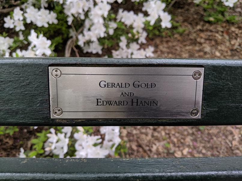 I saw this bench in Central Park