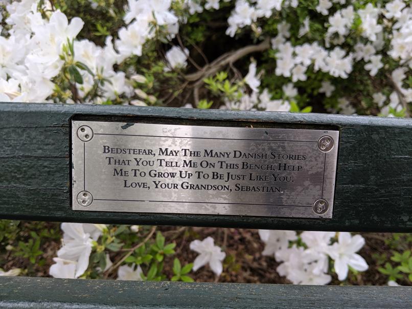 I saw this bench in Central Park