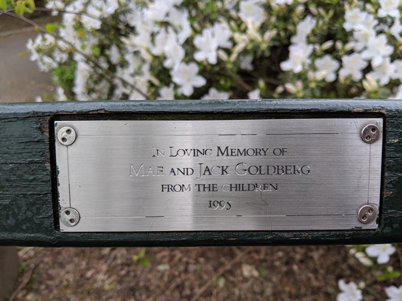 I saw this bench in Central Park