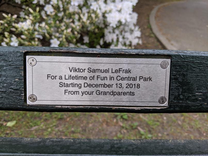 I saw this bench in Central Park