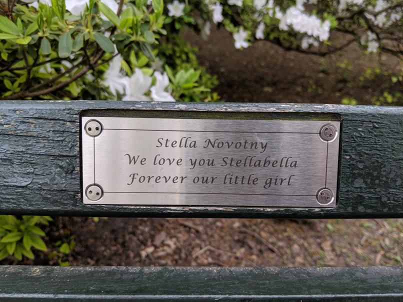 I saw this bench in Central Park