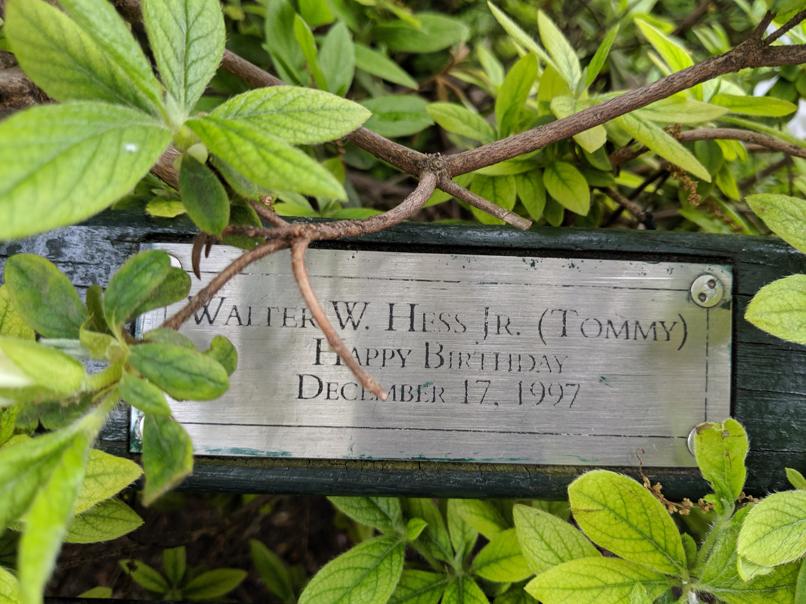 I saw this bench in Central Park