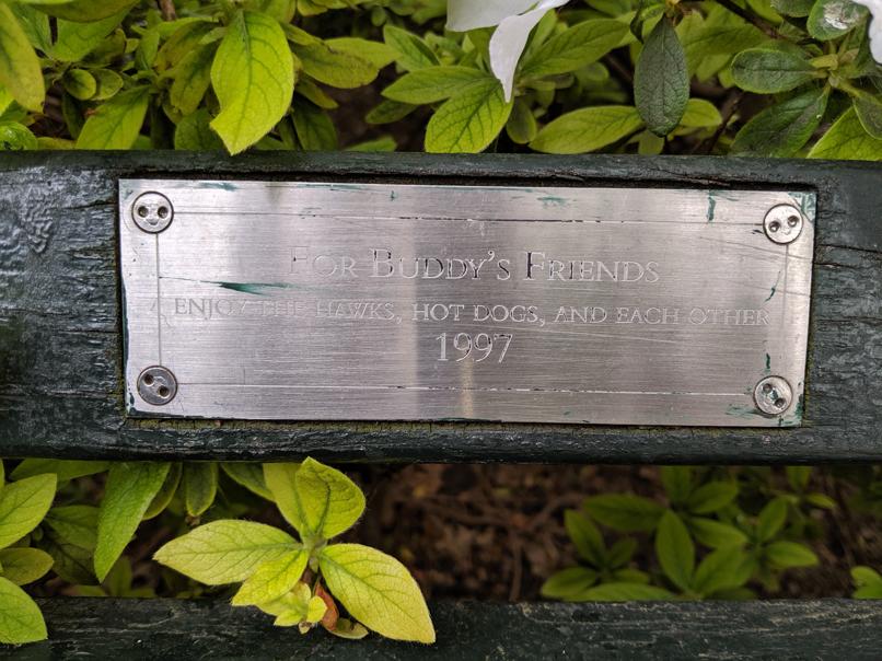 I saw this bench in Central Park