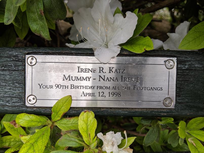 I saw this bench in Central Park