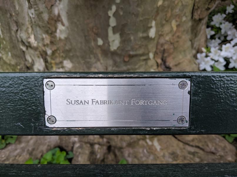 I saw this bench in Central Park