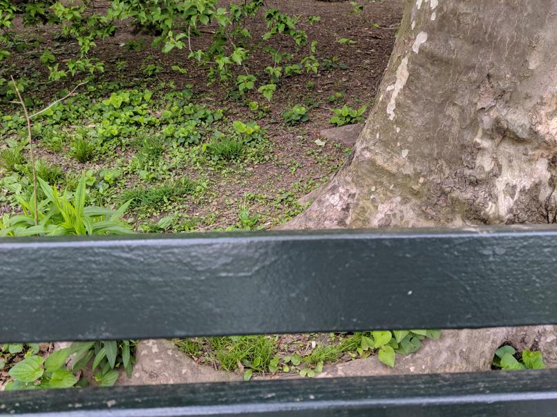 I saw this bench in Central Park