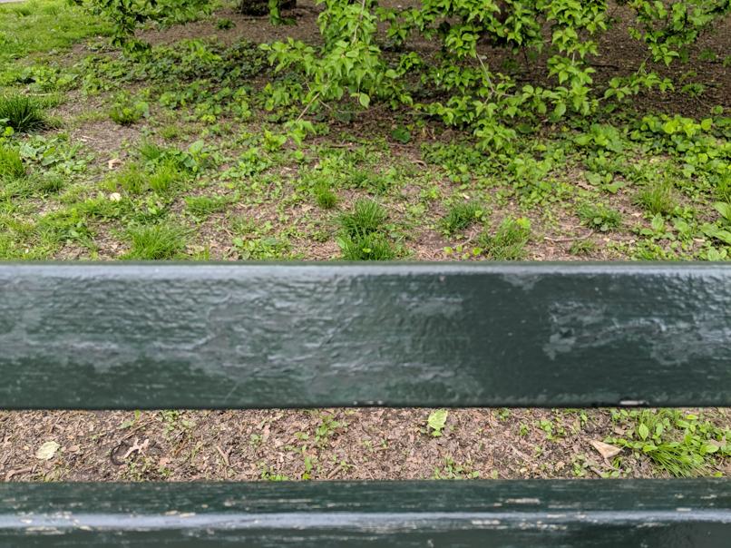 I saw this bench in Central Park