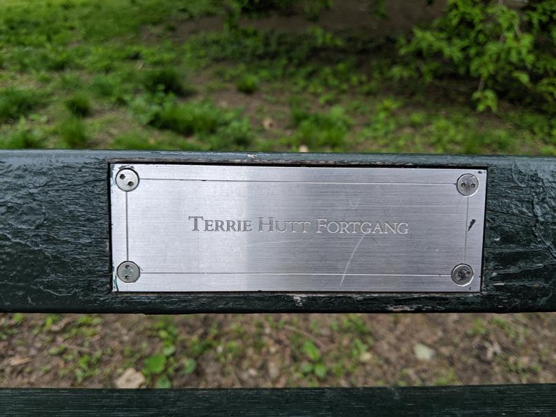 I saw this bench in Central Park