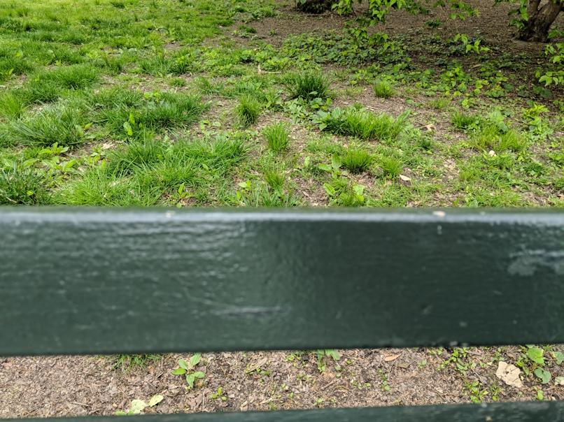 I saw this bench in Central Park