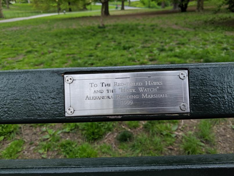 I saw this bench in Central Park