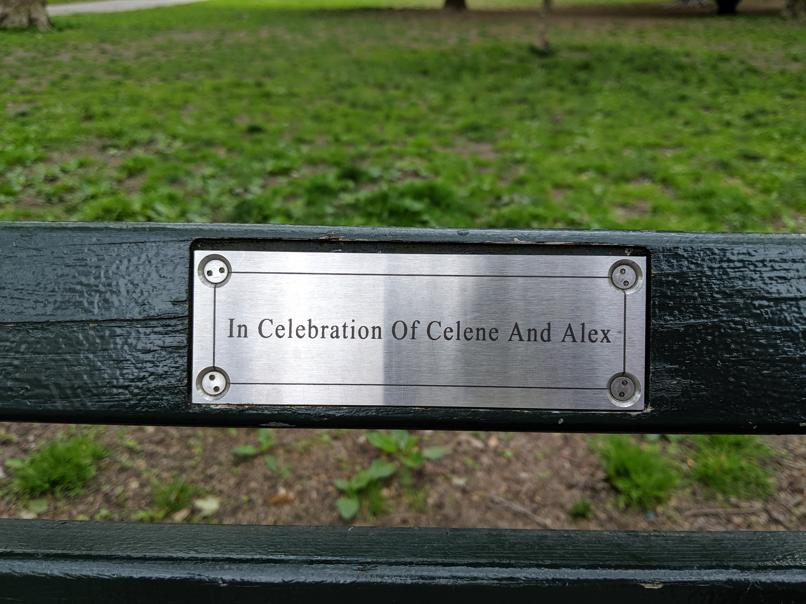 I saw this bench in Central Park