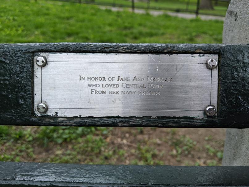 I saw this bench in Central Park