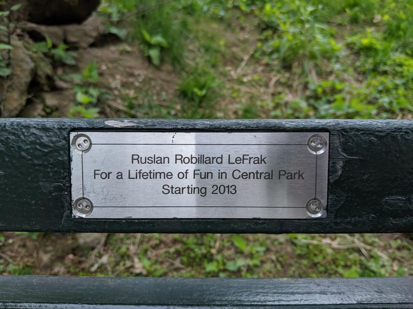 I saw this bench in Central Park