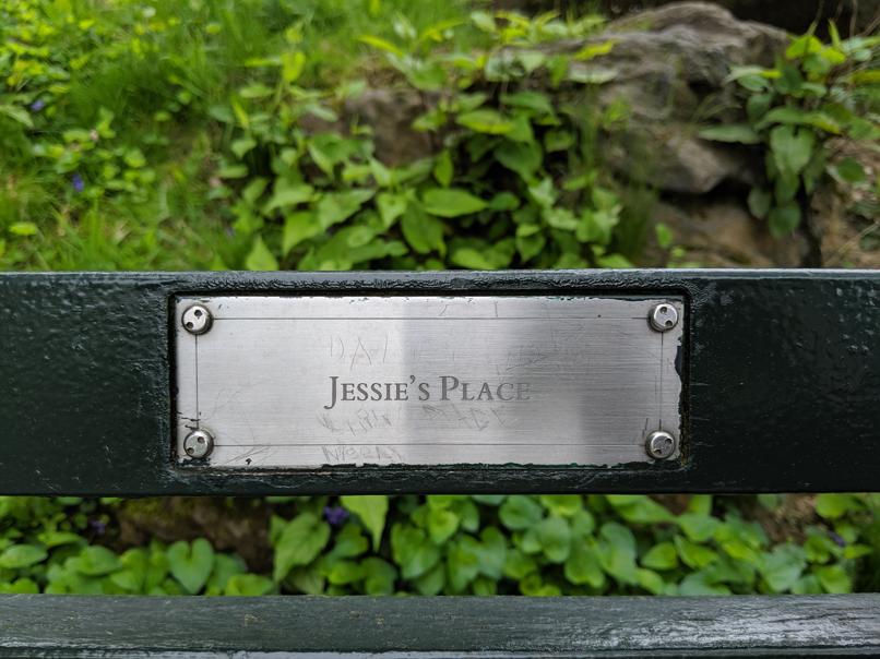 I saw this bench in Central Park