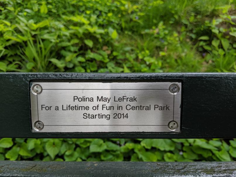 I saw this bench in Central Park