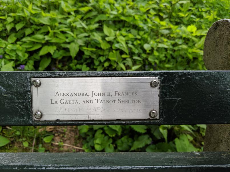 I saw this bench in Central Park