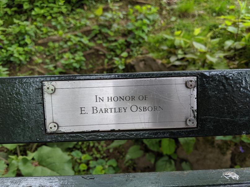 I saw this bench in Central Park