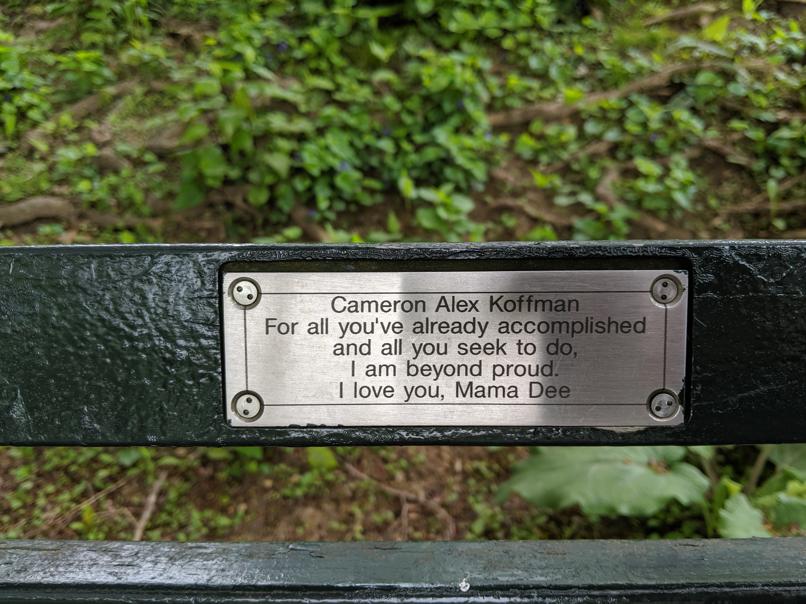 I saw this bench in Central Park