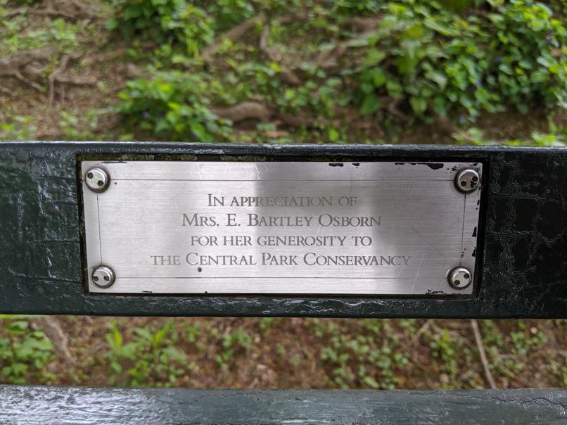 I saw this bench in Central Park