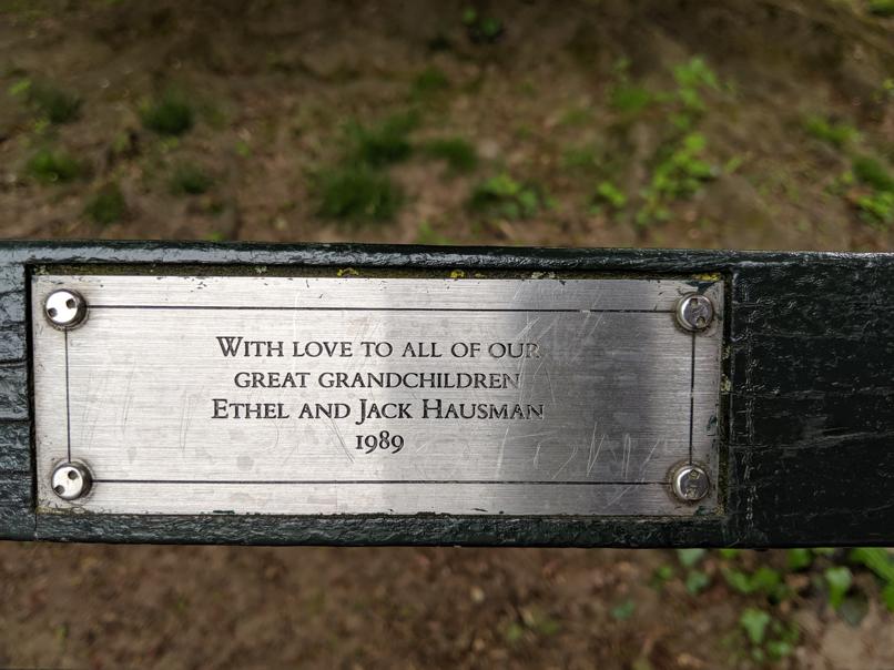 I saw this bench in Central Park