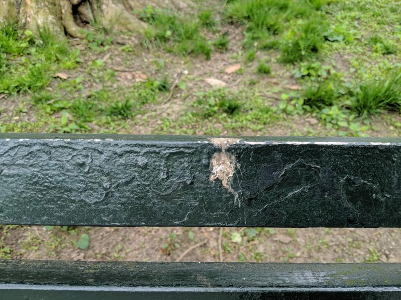 I saw this bench in Central Park