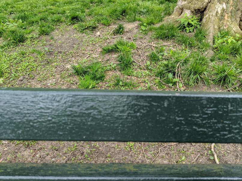 I saw this bench in Central Park