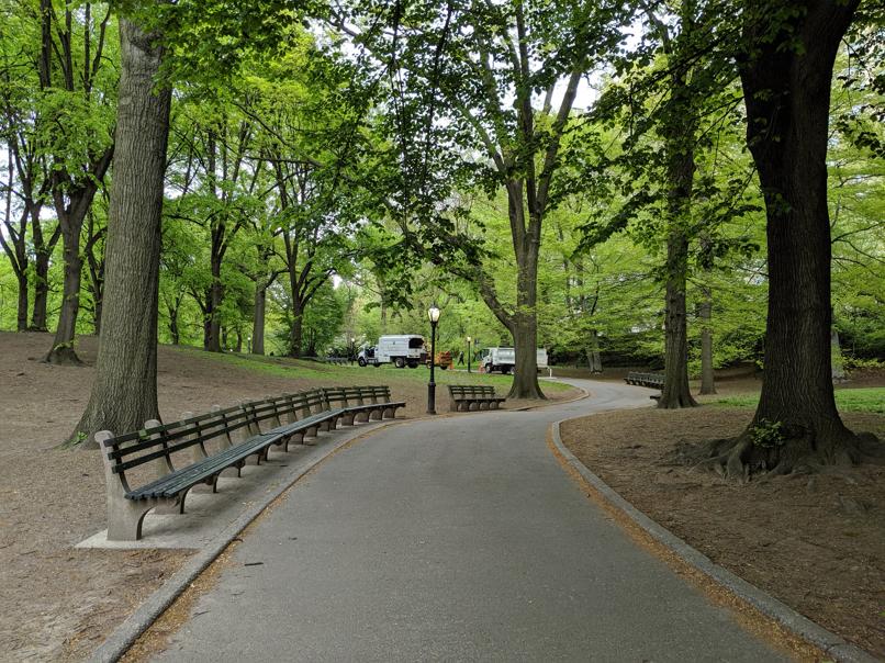 I saw this bench in Central Park