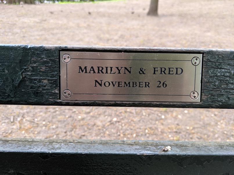 I saw this bench in Central Park