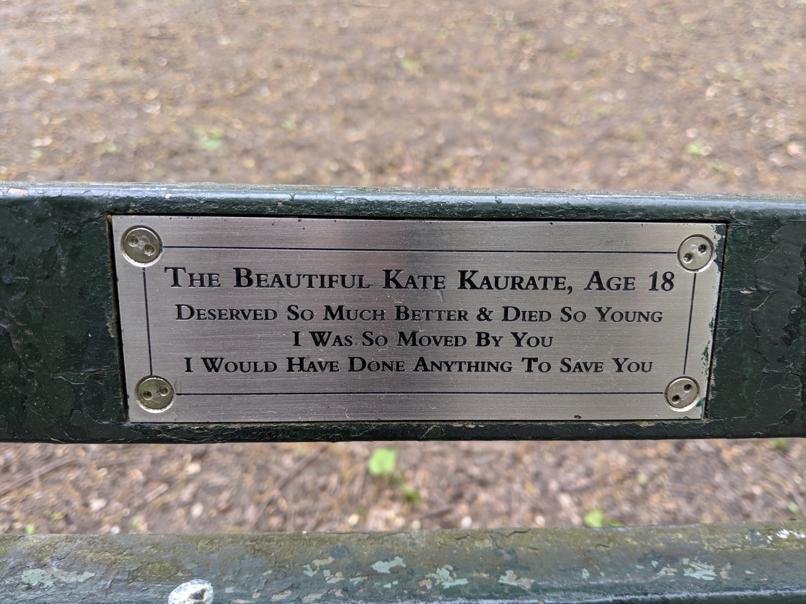 I saw this bench in Central Park