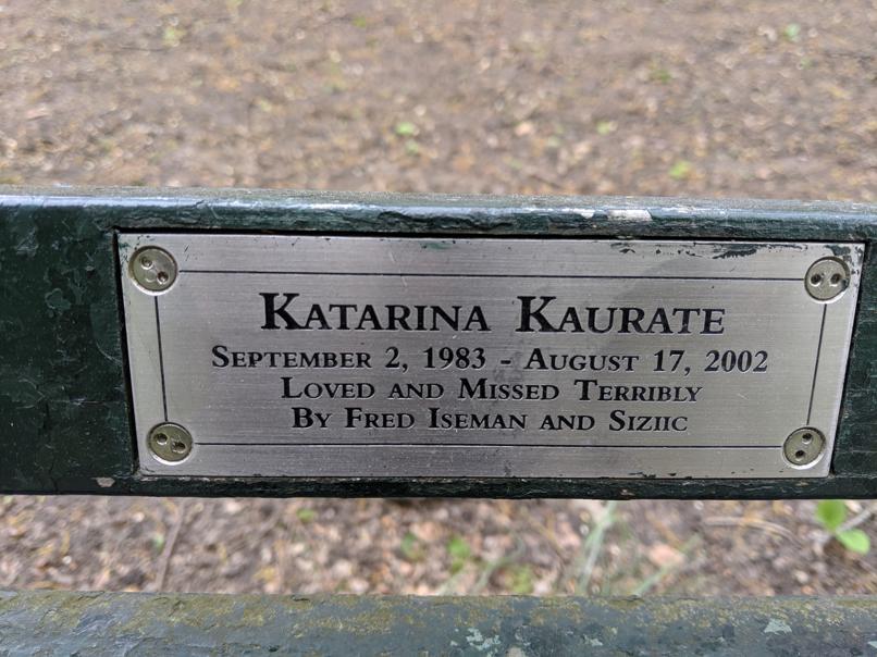 I saw this bench in Central Park