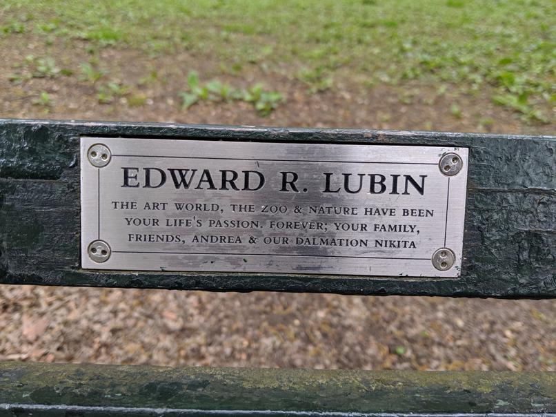 I saw this bench in Central Park